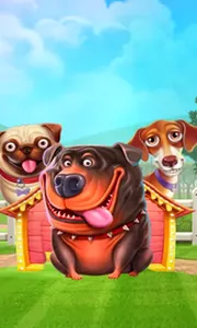 The Dog House